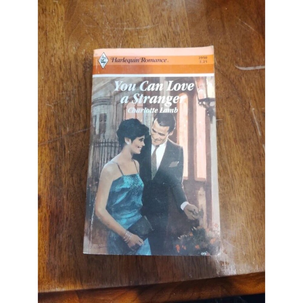 You Can Love a Stranger by Charlotte Lamb